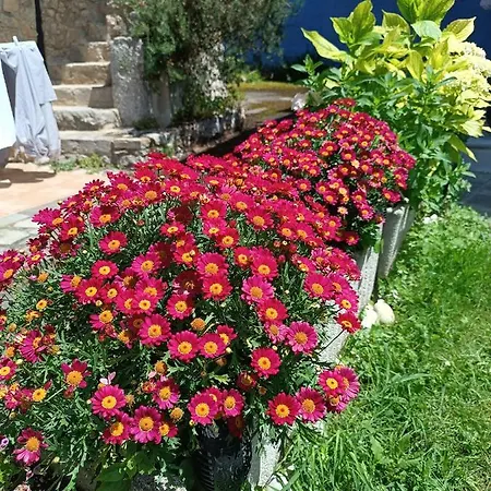 Minuska Con Jardin Y A Tan Solo 10 Min Andando A Llanes