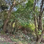 Apartmán Minuska Con Jardin Y A Tan Solo 10 Min Andando A *
