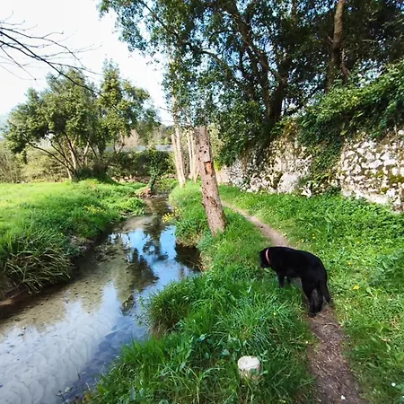 Minuska Con Jardin Y A Tan Solo 10 Min Andando A * Llanes