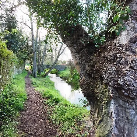 Minuska Con Jardin Y A Tan Solo 10 Min Andando A * Llanes