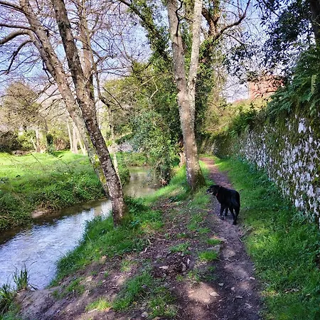 Minuska Con Jardin Y A Tan Solo 10 Min Andando A *