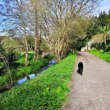 Minuska Con Jardin Y A Tan Solo 10 Min Andando A Daire Llanes