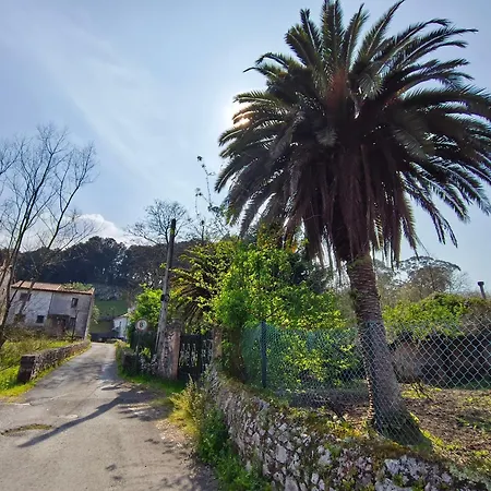 Daire Minuska Con Jardin Y A Tan Solo 10 Min Andando A *