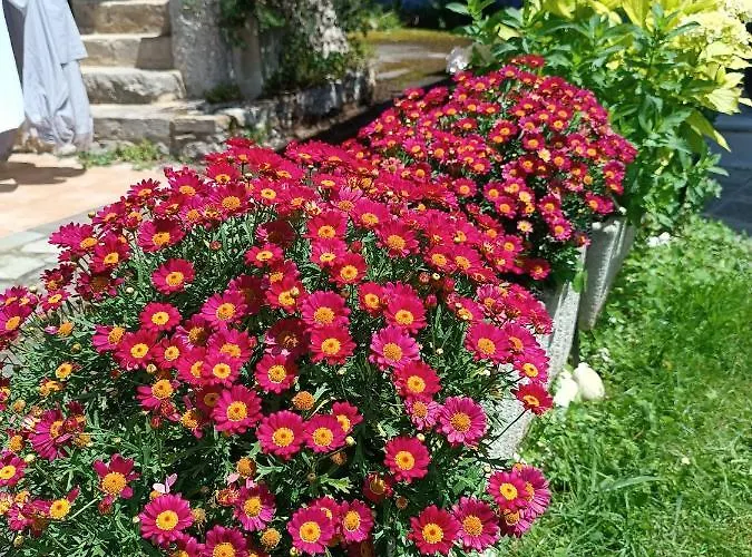 Minuska Con Jardin Y A Tan Solo 10 Min Andando A Llanes