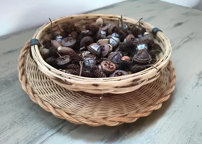 Appartement Minuska Con Jardin Y A Tan Solo 10 Min Andando A