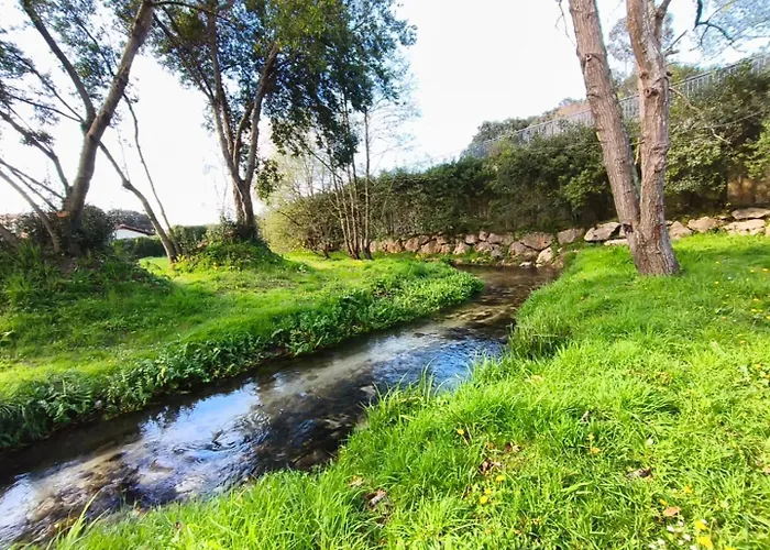 Minuska Con Jardin Y A Tan Solo 10 Min Andando A Appartement *