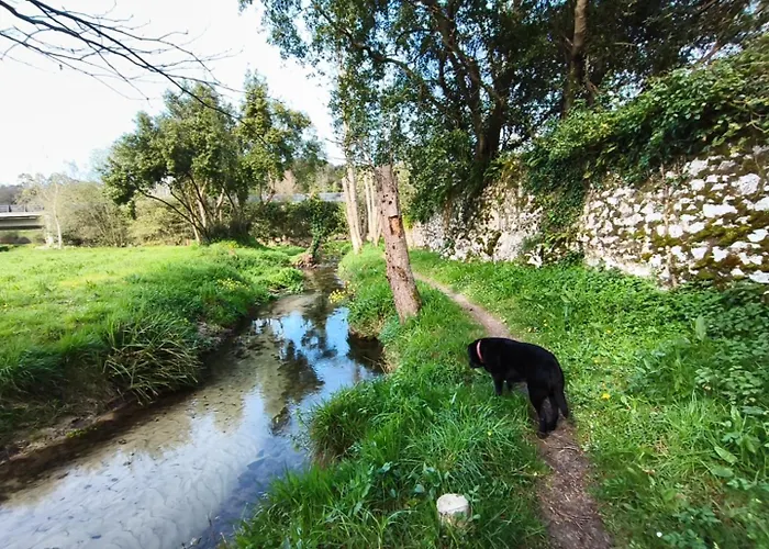 Minuska Con Jardin Y A Tan Solo 10 Min Andando A * Llanes