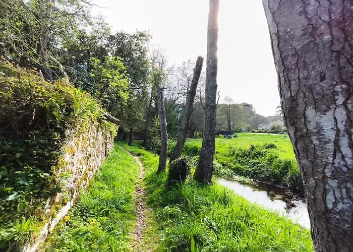 Minuska Con Jardin Y A Tan Solo 10 Min Andando A Llanes