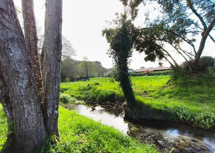 Minuska Con Jardin Y A Tan Solo 10 Min Andando A Appartement *