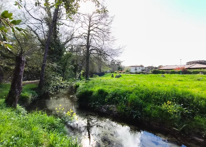 Minuska Con Jardin Y A Tan Solo 10 Min Andando A Appartement *