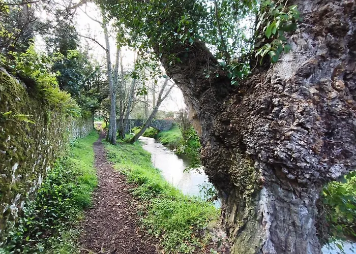 Minuska Con Jardin Y A Tan Solo 10 Min Andando A * Llanes