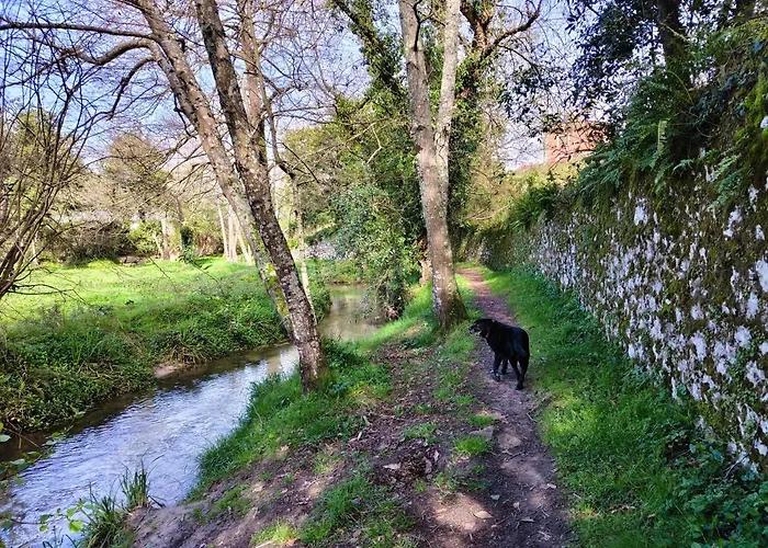 Minuska Con Jardin Y A Tan Solo 10 Min Andando A *