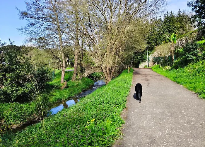 Minuska Con Jardin Y A Tan Solo 10 Min Andando A Appartement Llanes