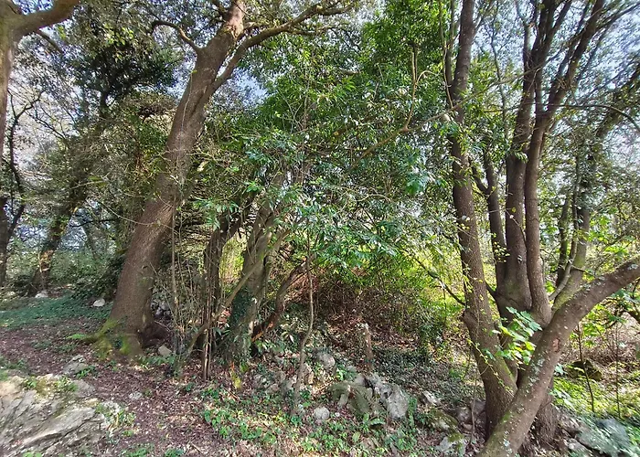 Appartement Minuska Con Jardin Y A Tan Solo 10 Min Andando A *