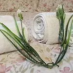 아파트 Minuska Con Jardin Y A Tan Solo 10 Min Andando A