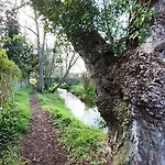 Minuska Con Jardin Y A Tan Solo 10 Min Andando A * 라네스