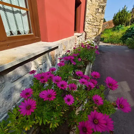 Minuska Con Jardin Y A Tan Solo 10 Min Andando A * 라네스